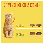 Go cat 10kg cheap online